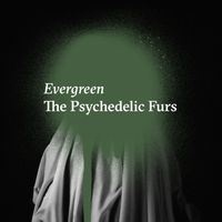 The Psychedelic Furs - Evergreen