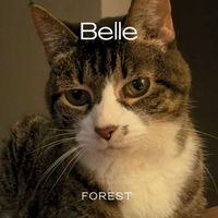 Forest - Belle