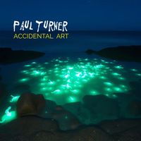 Paul Turner - Accidental Art