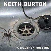 Keith Burton - A Spider In The Sink (Explicit)