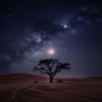 VidChooYou - Desert Pulse