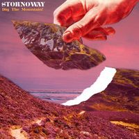 Stornoway - Bag in the Wind