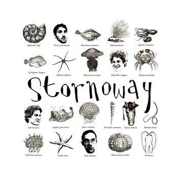 Stornoway - Beachcomber's Windowsill (Demo)