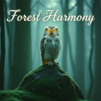 Gaizka Arancibia - Forest Harmony