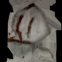 VETV - decomposition
