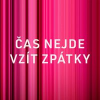 Arleta - Čas nejde vzít zpátky (feat. David Koller)