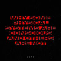 SETE - Why Some Physical Systems Are Conscious And Others Are Not
