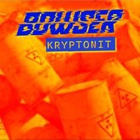 BOWSER - Kryptonit
