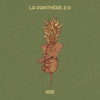 IAM - La panthère 2.0