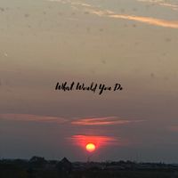 Segment - What Would You Do