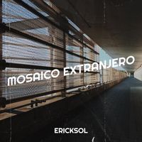 ERICKSOL - Mosaico Extranjero