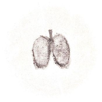 Shahar - Lungs