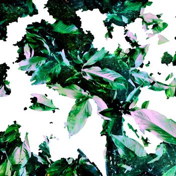 Alien House - Flora