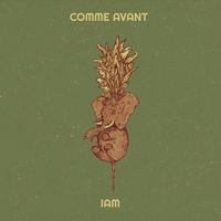 IAM - Comme avant  (Explicit)