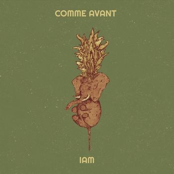 IAM - Comme avant  (Explicit)