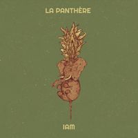 IAM - La Panthère 