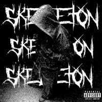 FLORIS - SKELETON (Explicit)