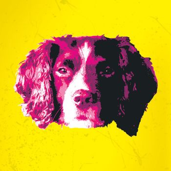 Dan Cooper - Jimmy Jams (Explicit)