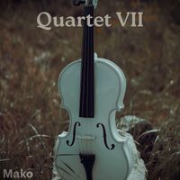Mako - Quartets VII