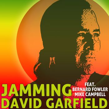 David Garfield - Jamming