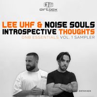 Lee UHF, Noise Souls - Introspective Thoughts