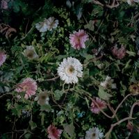 Altea - alto il mento