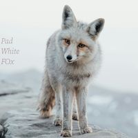 PAD - white fox