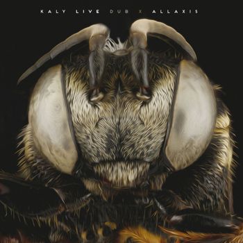 Kaly Live Dub - Allaxis