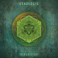 Ekaologik - Ninghizida