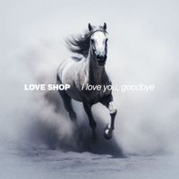 Love Shop - I Love You, Goodbye
