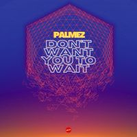 Palmez - Don't want you to wait