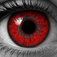 VISION - Wake Me Up