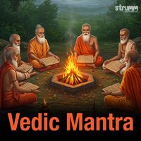 Ved Vrind - Vedic Mantra