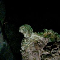 everything - Entitled