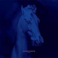 The Phoenix Foundation - Pegasus
