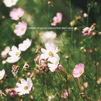 Toni Castells - I Dream of You in Colours That Don't Exist