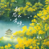 Kinn - 相思不肯睡