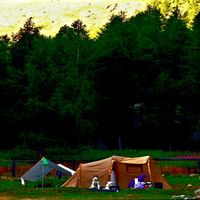 Pal - Collateral effect