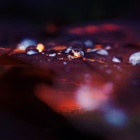 H.1 - Tears