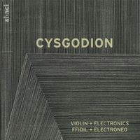 Darragh Morgan - Cysgodion
