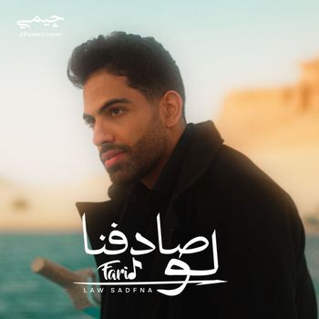 Farid - لو صادفنا
