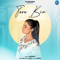 Sandeep - Tere Bin