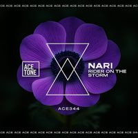 Nari - Rider on the Storm