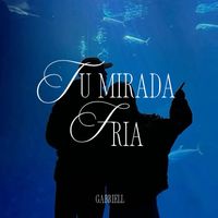 gabriell - TU MIRADA FRÍA