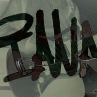 iana - iana