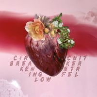 Ken Stringfellow - Trust
