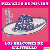 Los Halcones De Salitrillo - Pedacito de Mi Vida