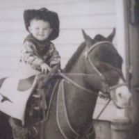 Baby Dee - The Robin's Tiny Throat