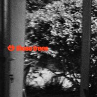Fakear - those trees