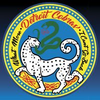 The Detroit Cobras - What More